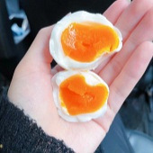 ���ھŻ�ɽũ����������