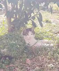 ���������ͣ�47���繤�����Ҹ������ȶ���Ů��