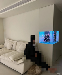 家里老人的房子,他想装个这样的鱼缸,我总感觉不好打理....