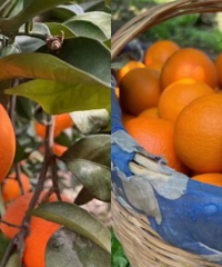 ���Ŀ���л���� ����Ȼ�Ľ����ʹ���