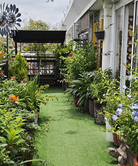 ϲ��ŪЩ�����ݲݣ�82����������Ҹ�87��Ů��