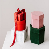 �׶�԰������Ҫ������