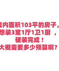 预算多少合适?套内103平,硬装!