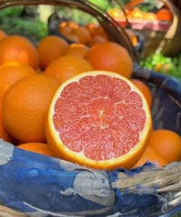 ��������л���ȣ���ժ�ַ� �����ʣ�