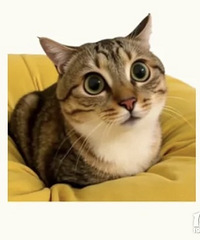 ��Ȱ����Ҫ��ͬ��ҳ��ĸ����࣡�����������У�