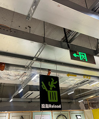 【缘分花开三月】爱运动!93年小姐姐找个工作稳定的男生