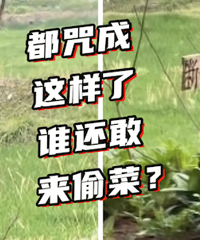 Ϊ�˲���͵������ƴ�ˡ�