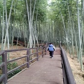 ��ʲô�ޣ���ɽȥ��