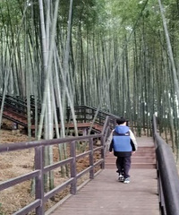 ��ʲô����������ɽ���������С��������