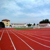 ����no.1��Сѧ