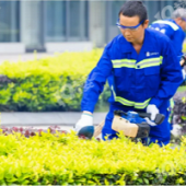 �����ĸ���ҵ��ף�