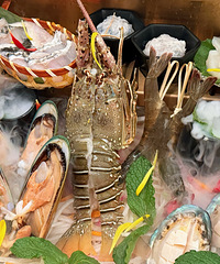 �������̩ʽ��� ������� ���ܺ�labubuһ�𹲽����ͣ�