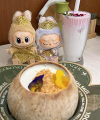 �������̩ʽ��� ������� ���ܺ�labubuһ�𹲽����ͣ�