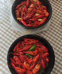 �ȴ����ˣ�99Ԫ6���С��Ϻǧ�����򣡳����ϡ�����Ρ�