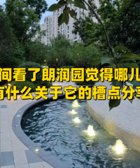 �ռ�����԰�Ĳ۵㣡�ܾ����е㲻��...