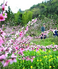 �����ˣ���ѧ������û���˹ܰ����о�ûɶ��˼��