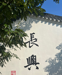 打卡湖州长兴浅山茶事!随便拍拍都很出片!