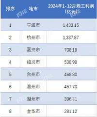 �������������ݣ����˹�ҵʵ�������㽭������