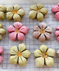 �Լ�Ҳ�������Ļ��֣�