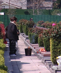 ����������5���˲����Ϸط���ᴥùͷ�����˹�Ĺ���α�ʾ����