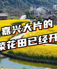 �о���������ܳ���Ƭ��