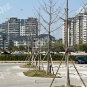 �������ؿ���ĩʢ��