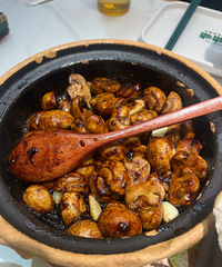 ������һ���ҵ� �ײ���ͦ�������˳Բ��� ζ�����о����е��