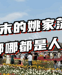 Ц���������Ļ��ĵ������ˣ�