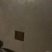 �⿴��˭��˵һ�����