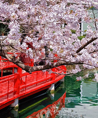 �Ĺ�·�ŵ�ӣ���ٱ����ѿ���������