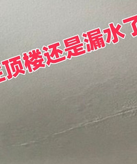 �������ҼҶ�¥����©ˮ�ˣ�