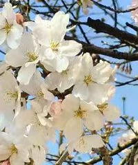 ����������Ҫ�Ҹ���һ���ʹ���