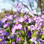 �Ҹ���һ���ʹ���