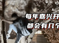 ӣ������ ������