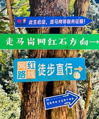 ����ͽ���������������� С����6����