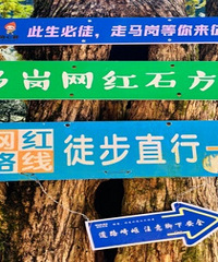 ͽ���������������� С����6����