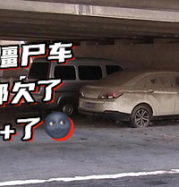 ����Ȼ��ͣ���º�ɭ�ֹ�԰��