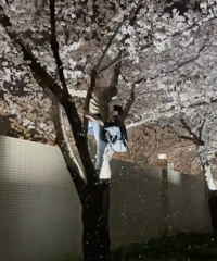 ����Ƶ��ÿ����˿�ӣ��������ô����û���ʵģ�������ӣ��������