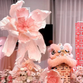 ��Щ��������б�Ҫ��