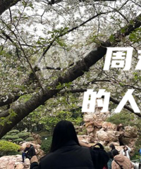 ���ǽ��º��������������