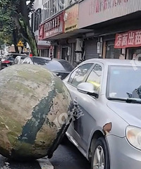 �������������������Ҳ̫�����ˣ�