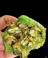 �ֵ��˳����ŵļ����������ǰ�����ڻ����̿ڣ�