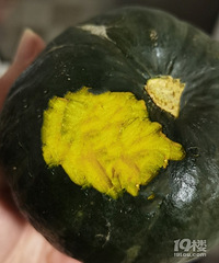 谁能信我住高层还闹老鼠,求灭鼠方法!