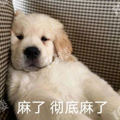 ������һ�������Ʋ���