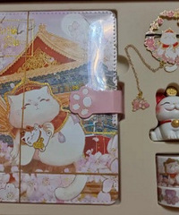 ��С����׼���İ�����СŮ������ϲ��