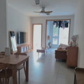 ʧ�ܵ�ԭľ���������