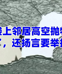 ����������ôάȨ��