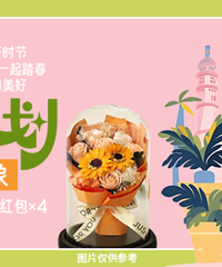 �������-�����ѵ��ƻ��������ѵ��Ծ� Ӯ�����������ֽ���