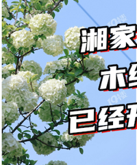 ���������泩���ǳ��ʺ�̤�࣡