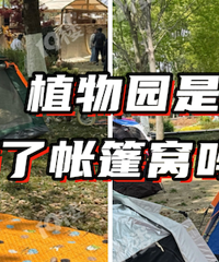 һ����ȥ ȫ����¶Ӫ�ġ�